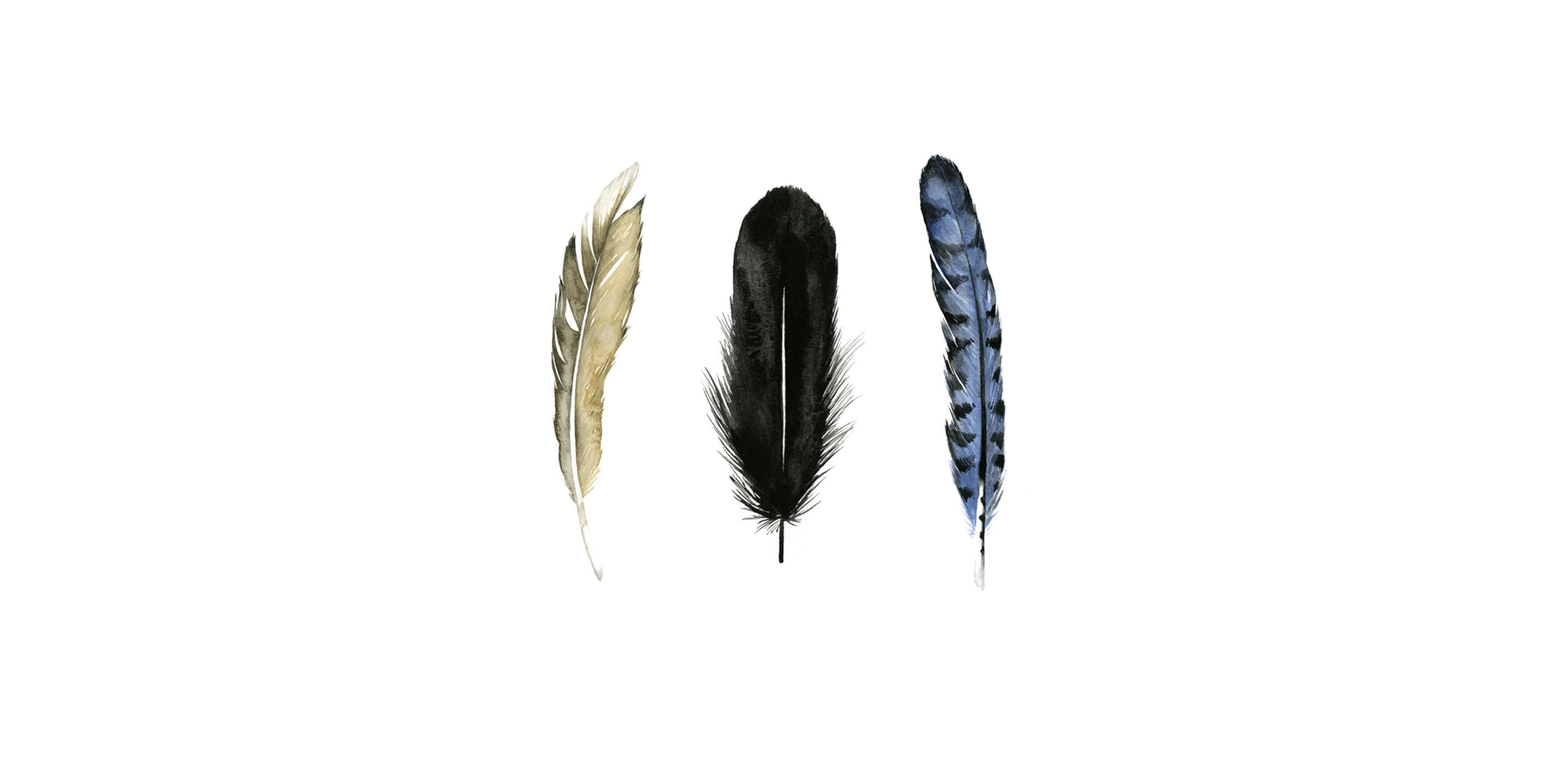 Soft Feathers I