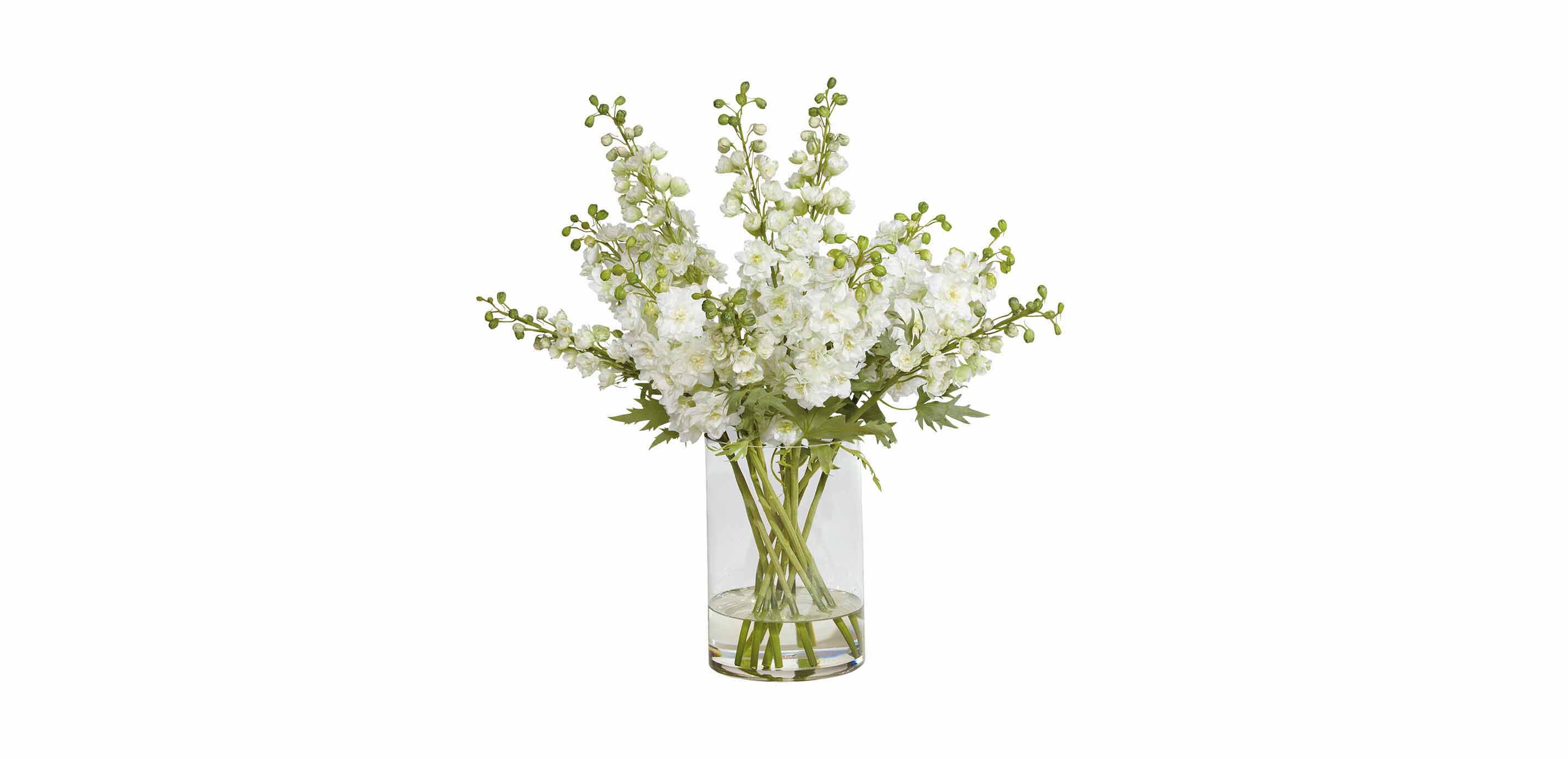 Delphinium Watergarden