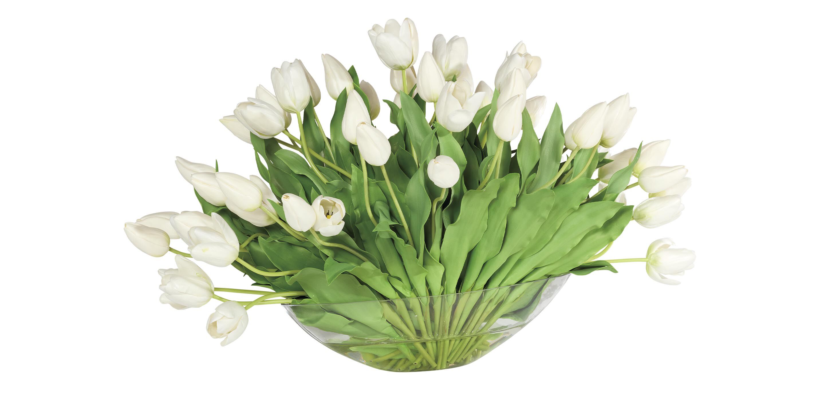 White Tulip Centerpiece in Linear Glass Vase_1