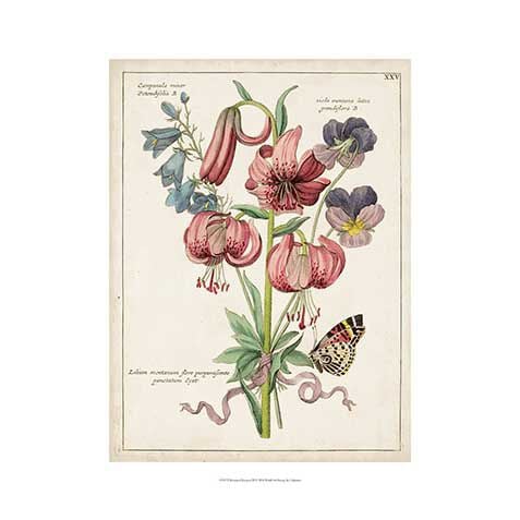 Botanical Bouquet III image