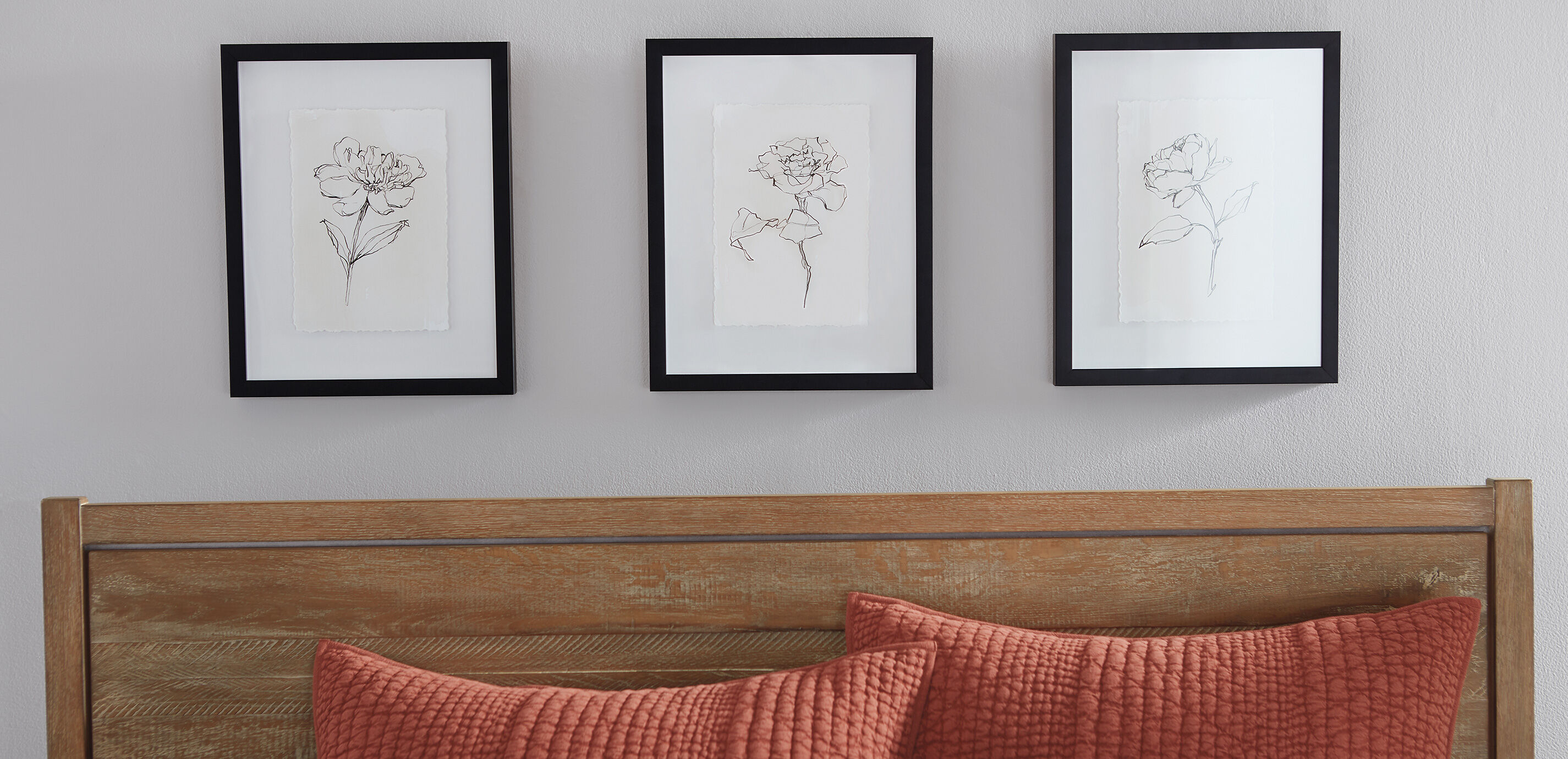 Floral Contour Study II_4