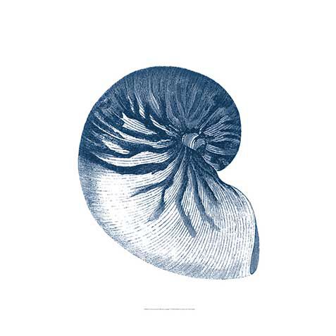 Coastal Collection In Indigo V image