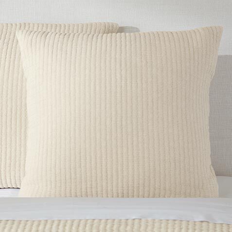 Dash Euro Sham image 031925DMST
