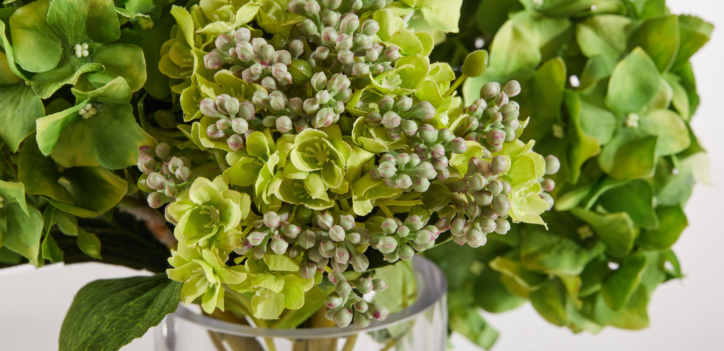 Hydrangea and Buds in Small Glass Vase_5