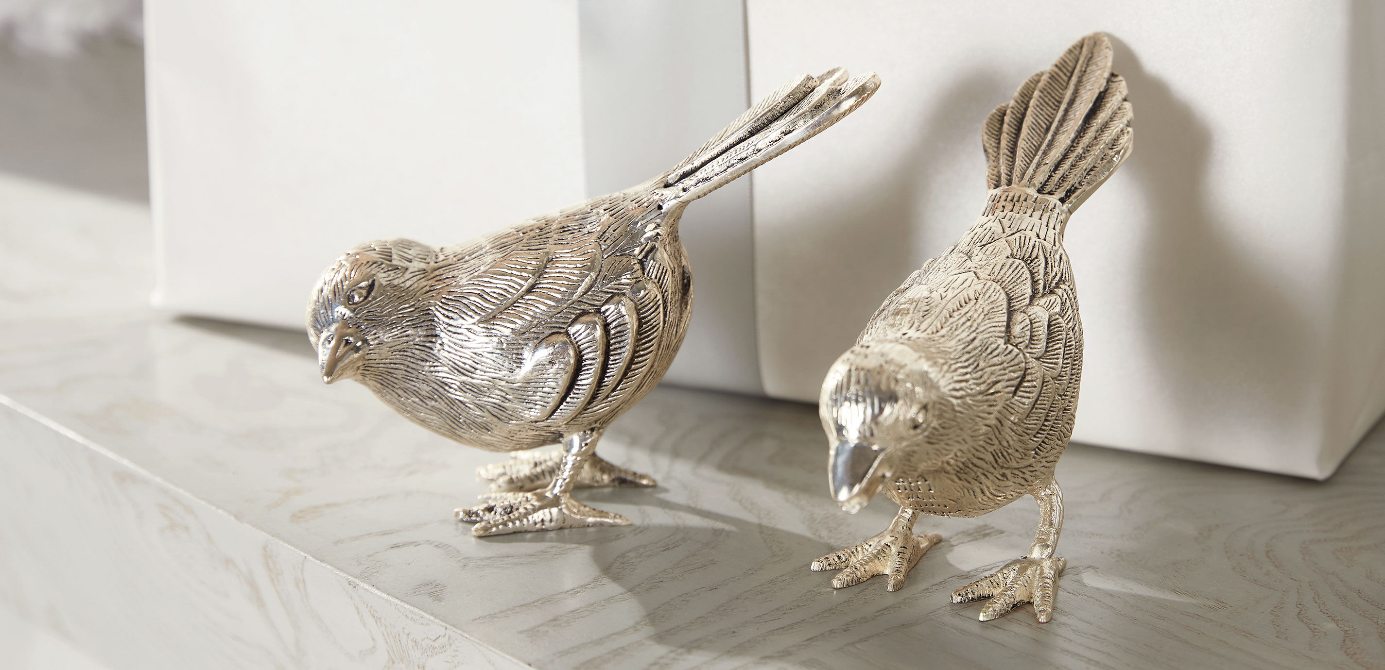 Ensemble de deux oiseaux chanteurs _2