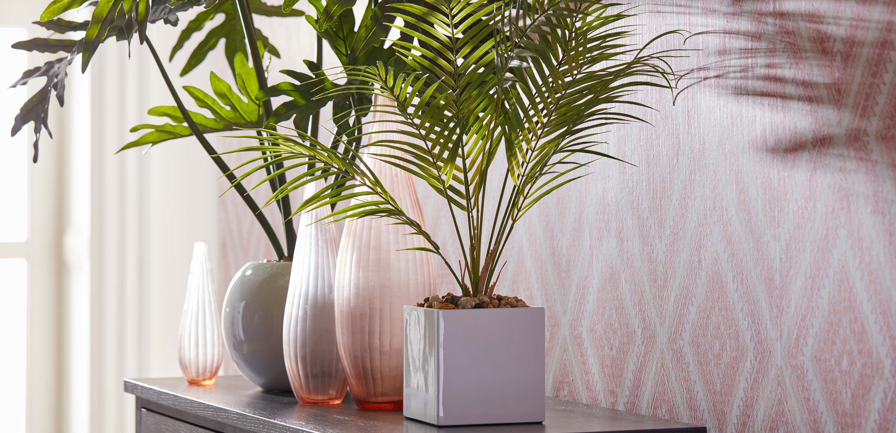 Palm in Square White Pot_6