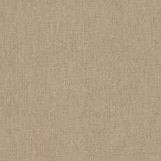 Talbert Truffle (F8174): Plush chenille solid swatch Talbert Fabric