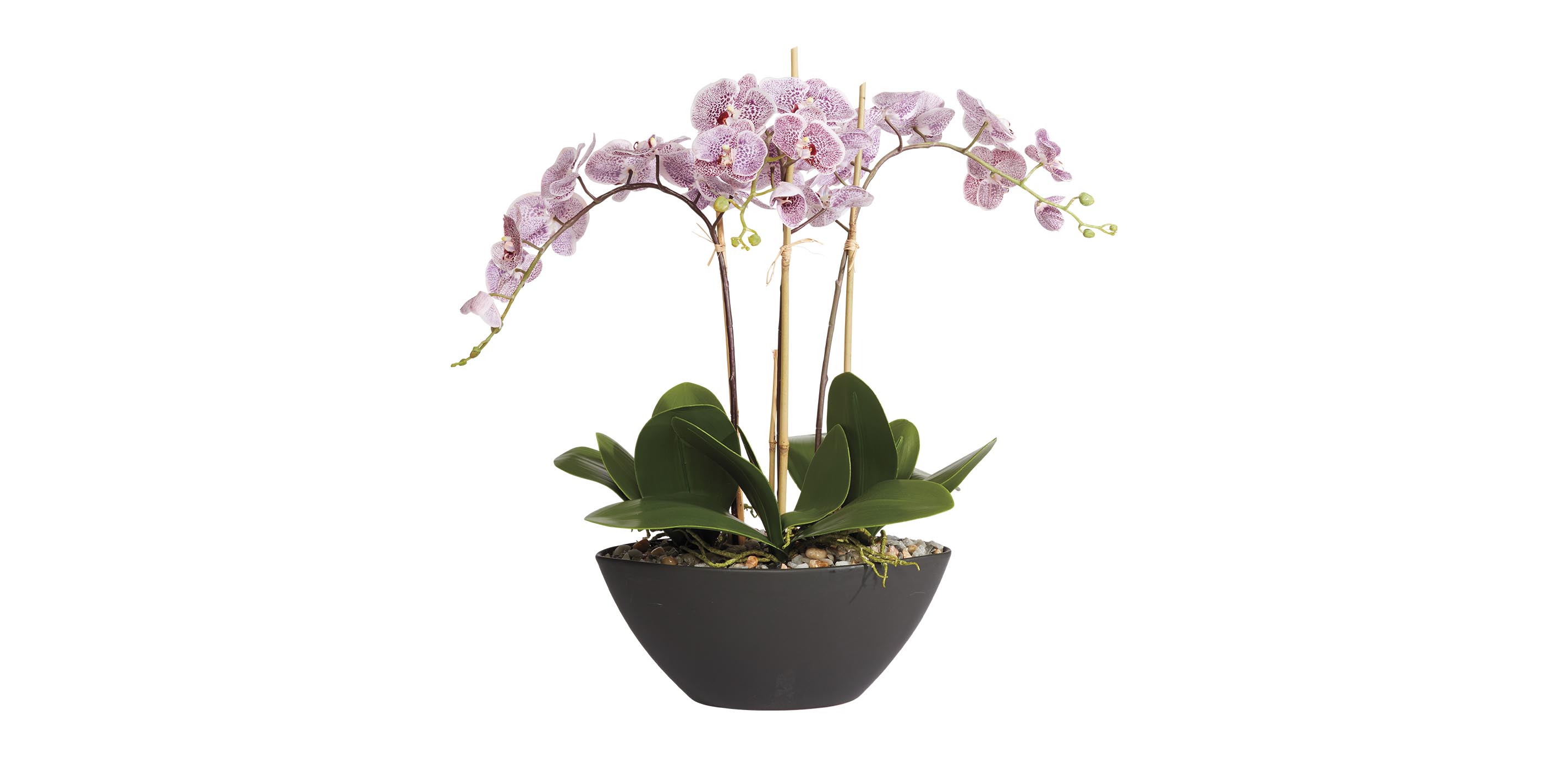 Plum Orchids in Black Pot Modern Orchid Arrangement Ethan Allen