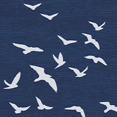 Dark Blue swatch Bird Silhouettes Wallpaper