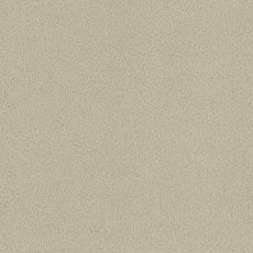 Tilly Sage (F7723): Plush woven solid swatch Tilly Fabric