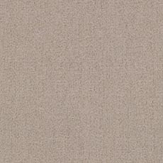 Benton Linen (P0239): indoor outdoor textured woven swatch Benton Fabric