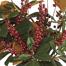 Holiday Berries swatch Berries Watergarden