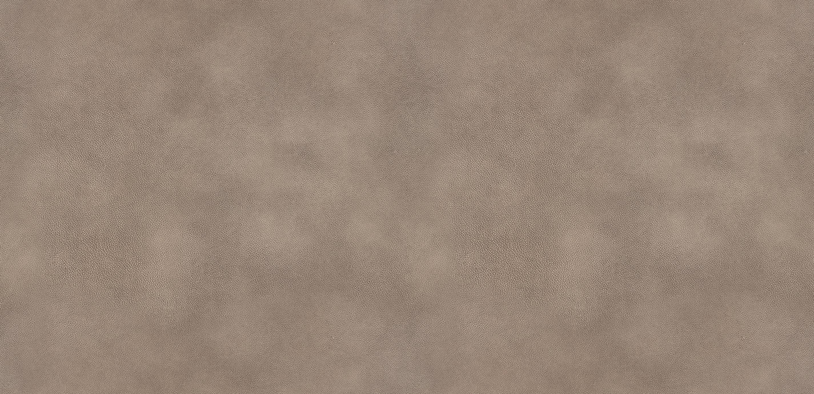 mobile primary image