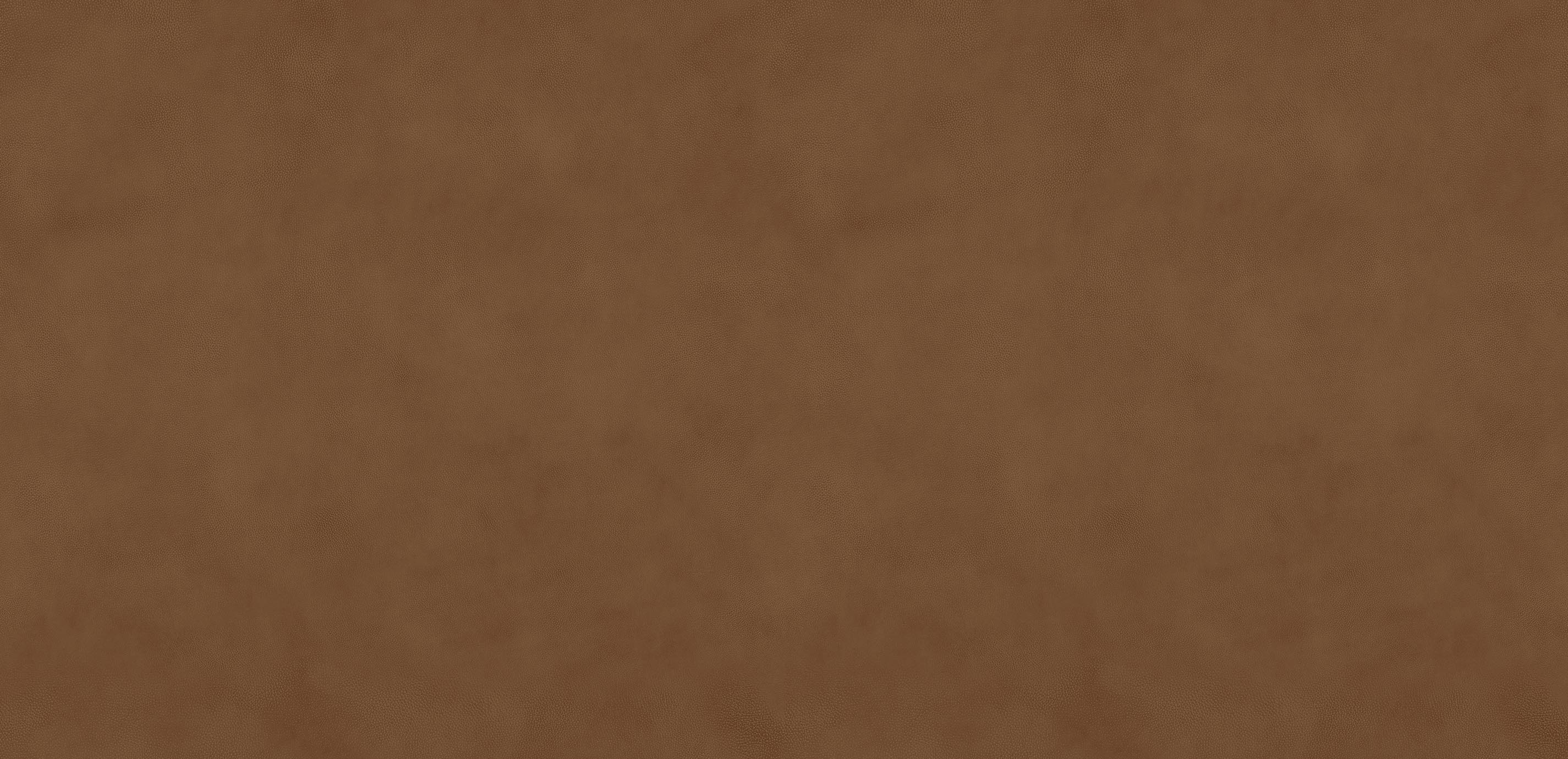 mobile primary image