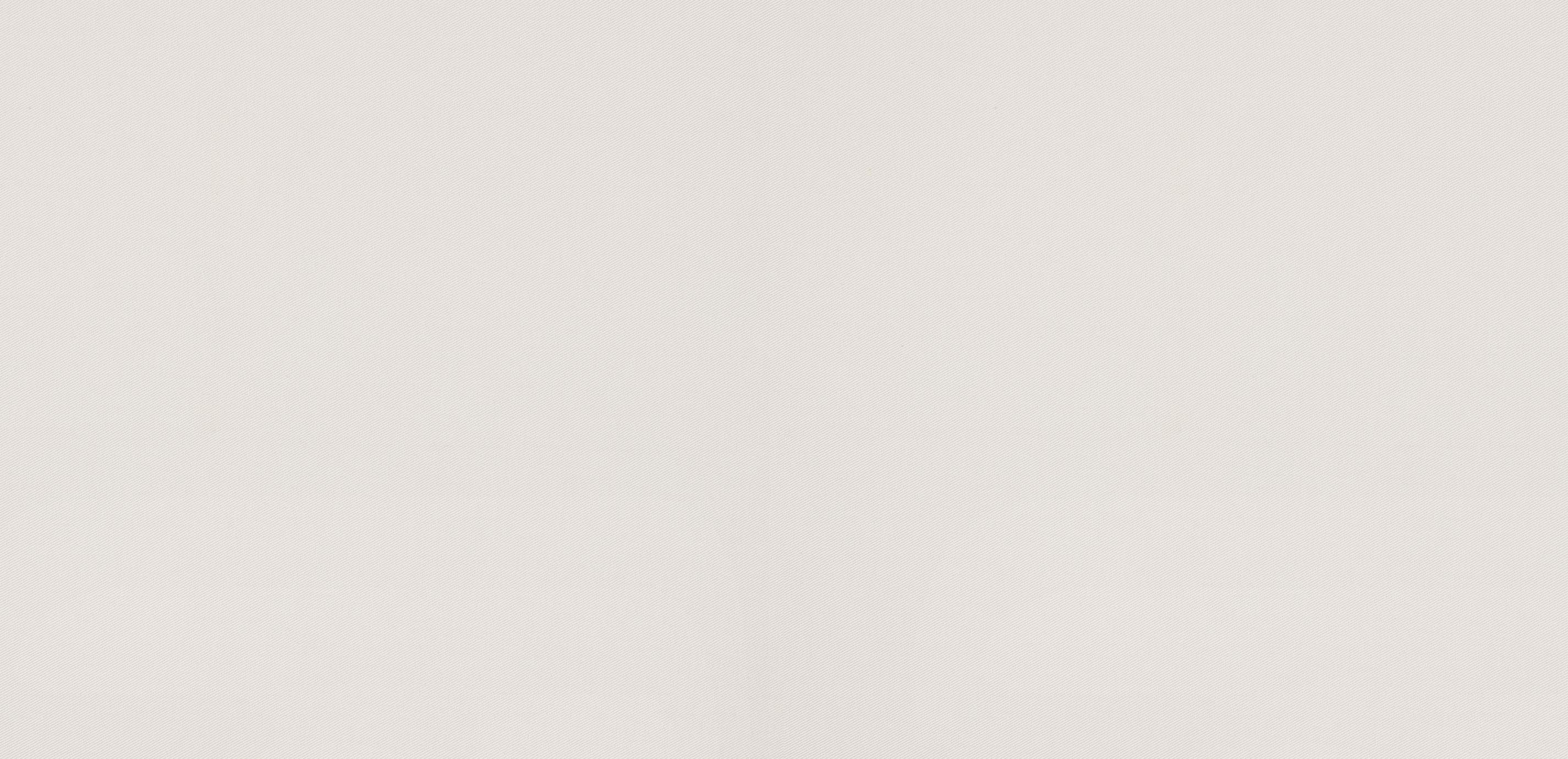 mobile primary image