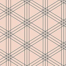 Pink/Black swatch Ray Wallpaper