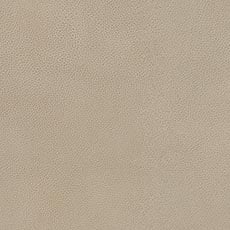 Umbria Bone (L5736) Leather: textured semi-aniline pebbled leather swatch Umbria Leather