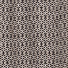 Noir Glass swatch Raylan Serged Rug