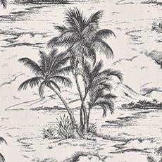 Captiva Black (P2856), performance woven swatch Captiva Fabric