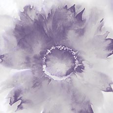 Violet swatch Seward Winter Wallpaper