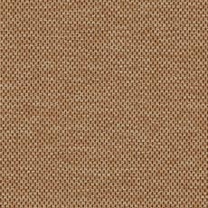 Saddle swatch Park Ridge Indoor/Outdoor Rug: Serged Edge