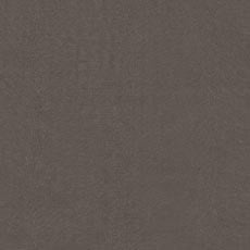 Tazza Charcoal (93454): embossed velvet animal texture swatch Tazza Fabric