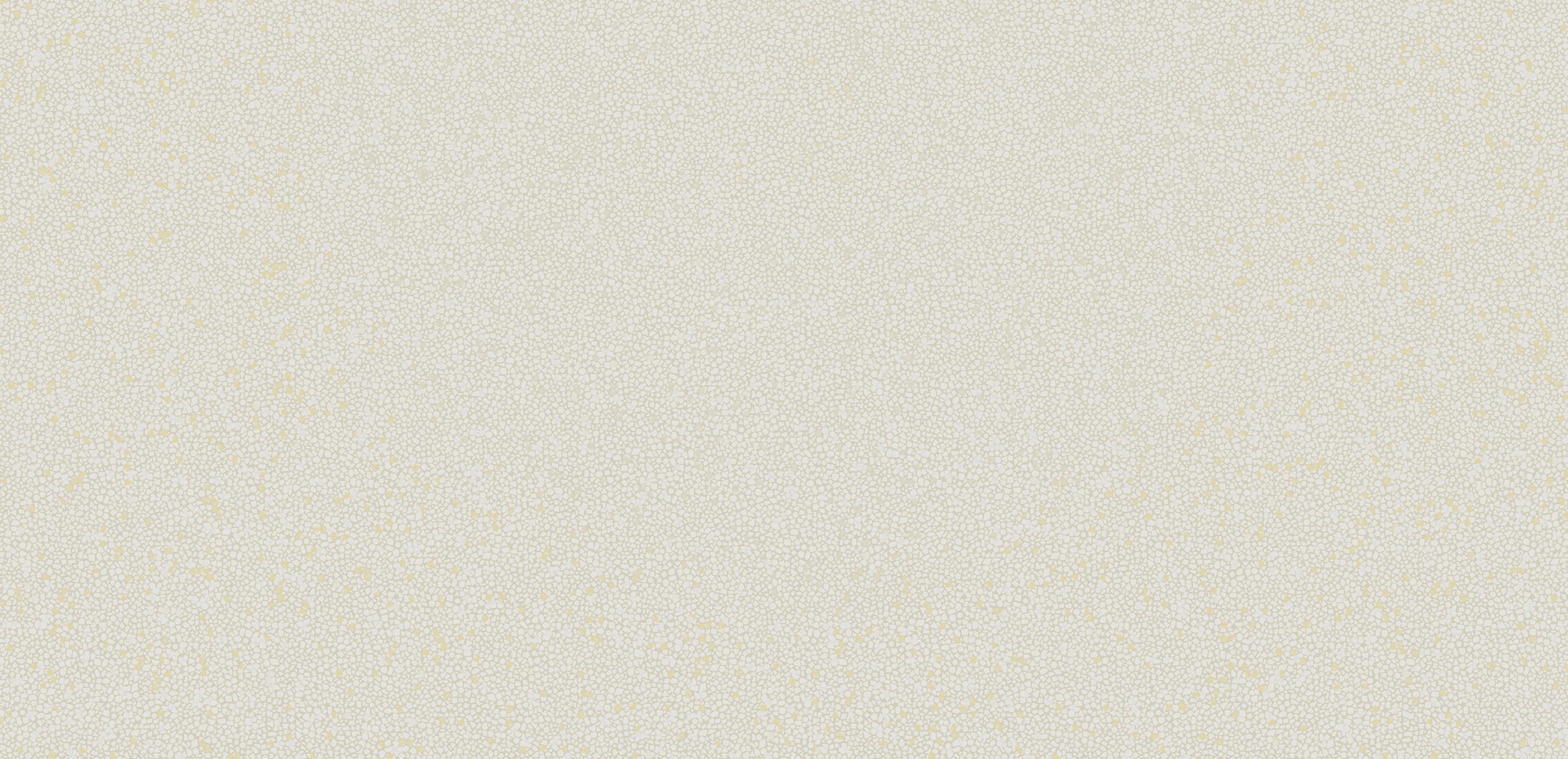 mobile primary image