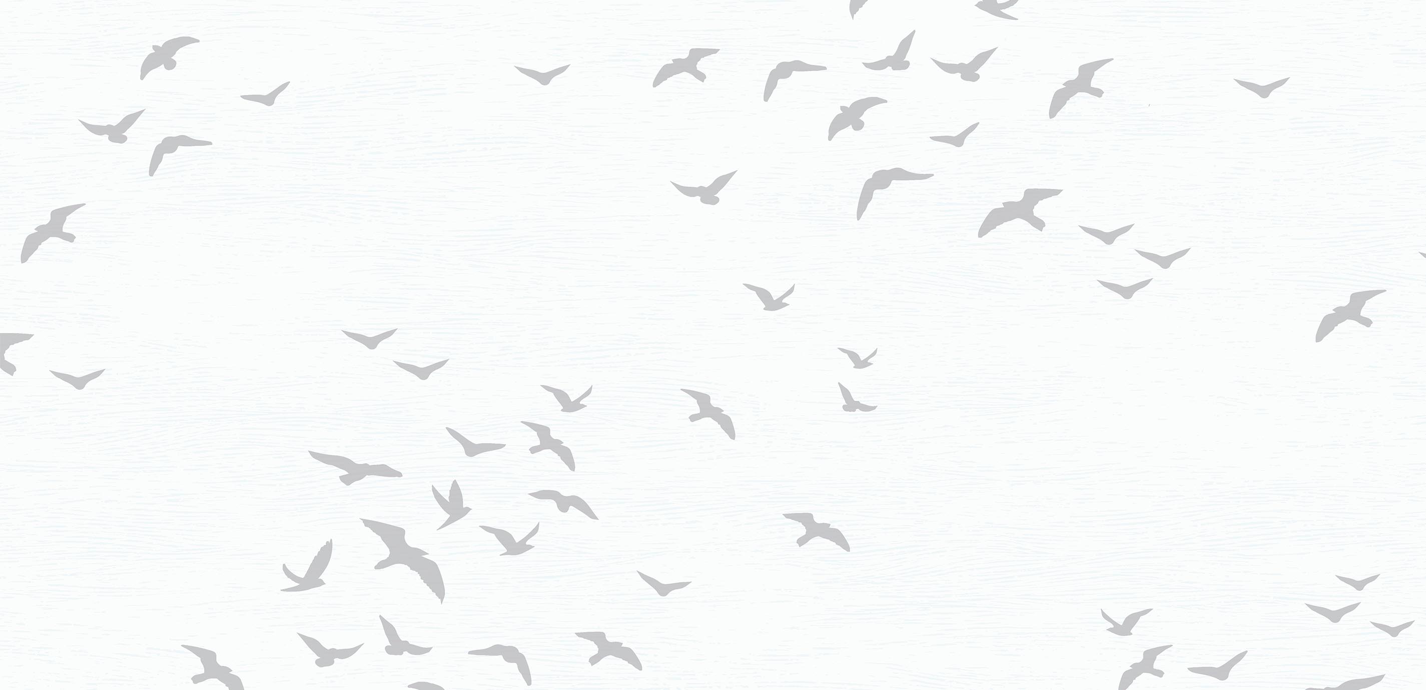 mobile primary image