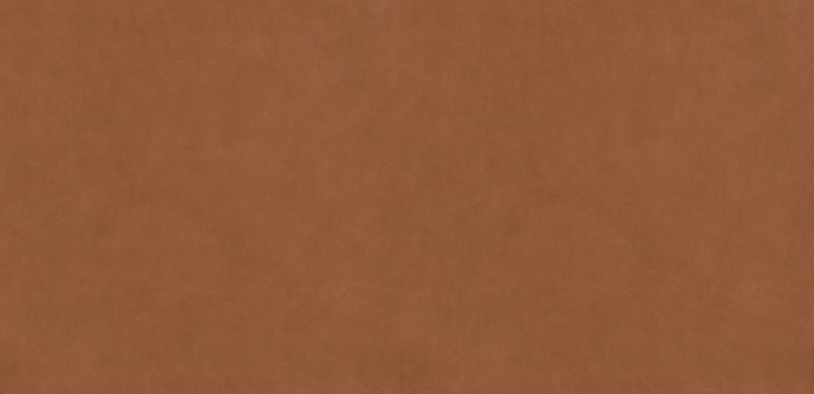 mobile primary image