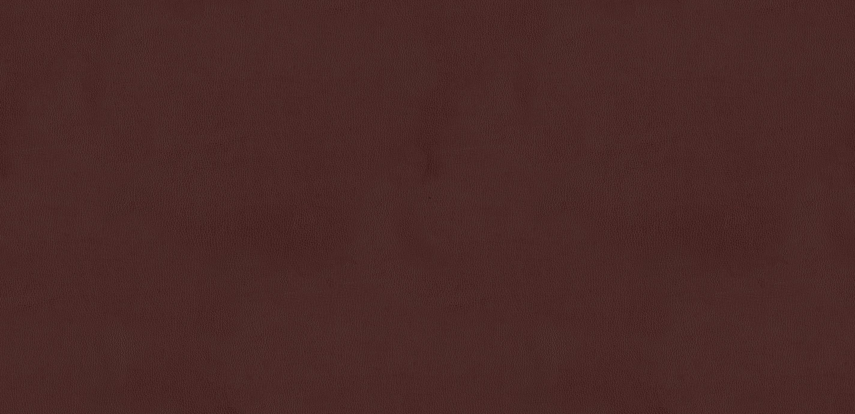 mobile primary image