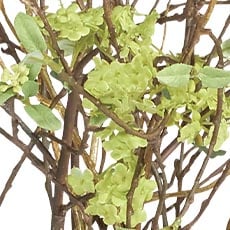 Green swatch Spirea Branch Arrangement in Tall Vase