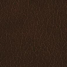 Burbank Sienna (L5979) Leather,smooth pigmented two-tone leather swatch Dani Leather Modern Dining Chair