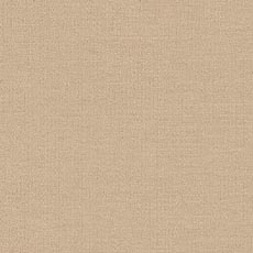 Leo Tan (14571), high performance plain swatch Leo Fabric