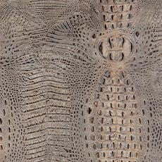 Bayou Latte (L7076) Leather: textured embossed leather swatch Bayou Mica Leather