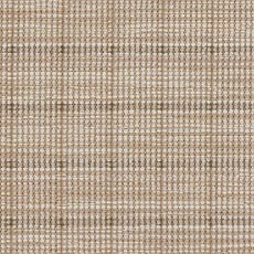 Presley swatch Thaddeus Rug