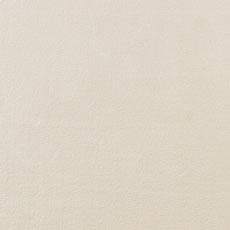 Eggshell swatch Pleasantville Rug