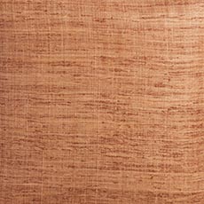 Terracotta swatch Raw Silk Pillow