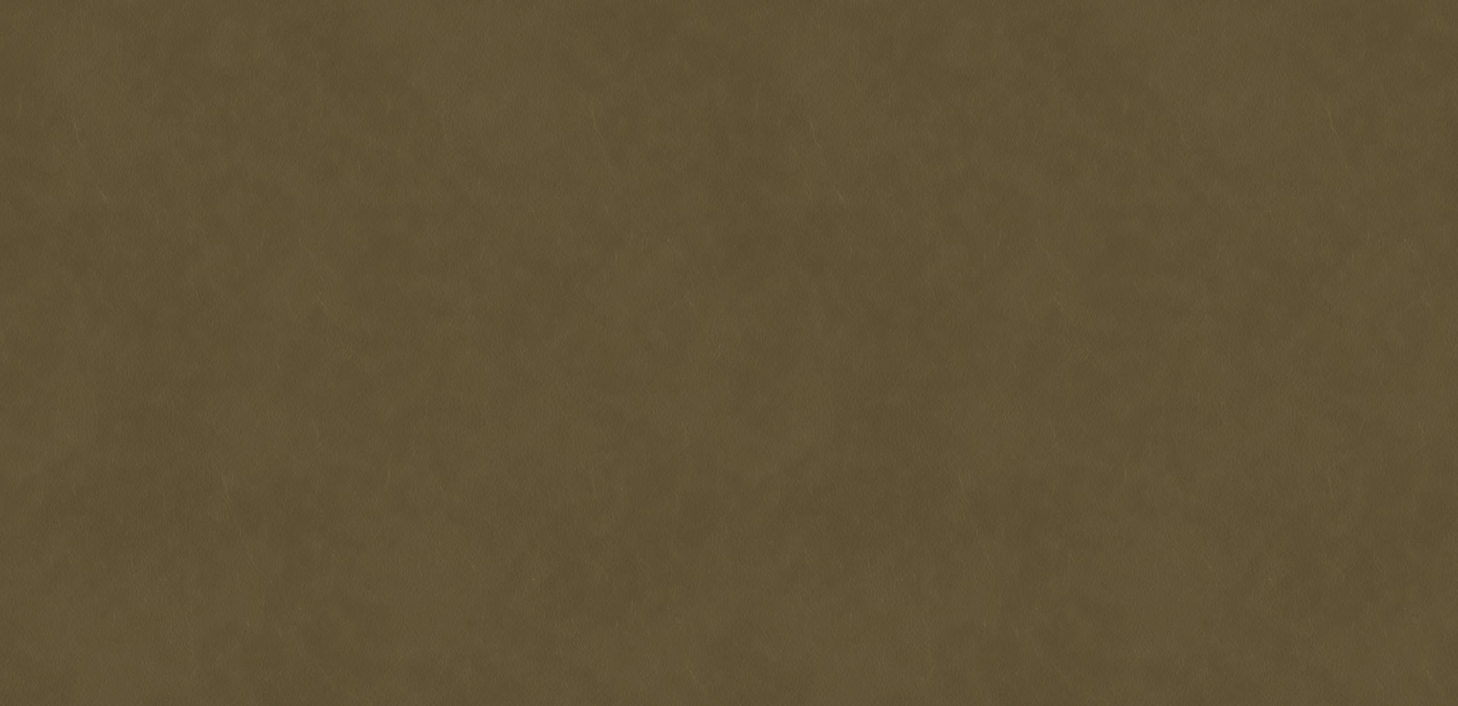 mobile primary image