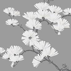 Dark Gray swatch In Bloom Wallpaper