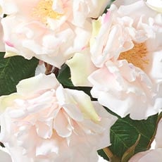 Pink swatch Rose Bouquet in Cylinder Vase