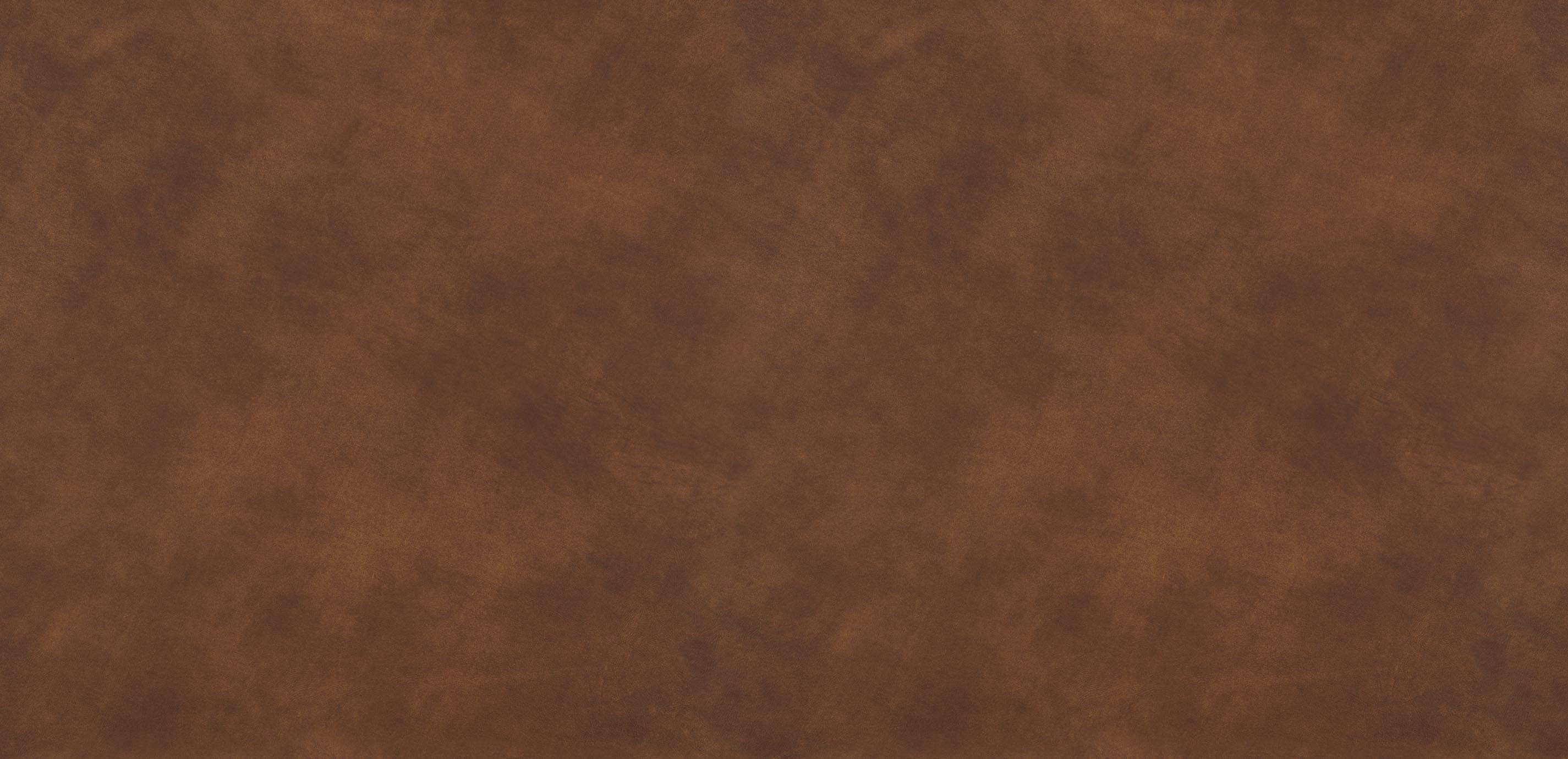 mobile primary image