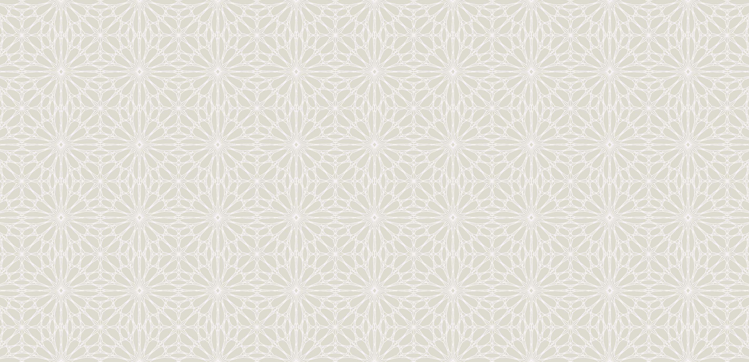 mobile primary image