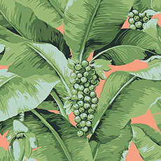 Green/Coral swatch Jenny Floral Wallpaper