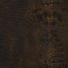 Bayou Brown (L7077) Leather: textured embossed leather swatch Bayou Mica Leather