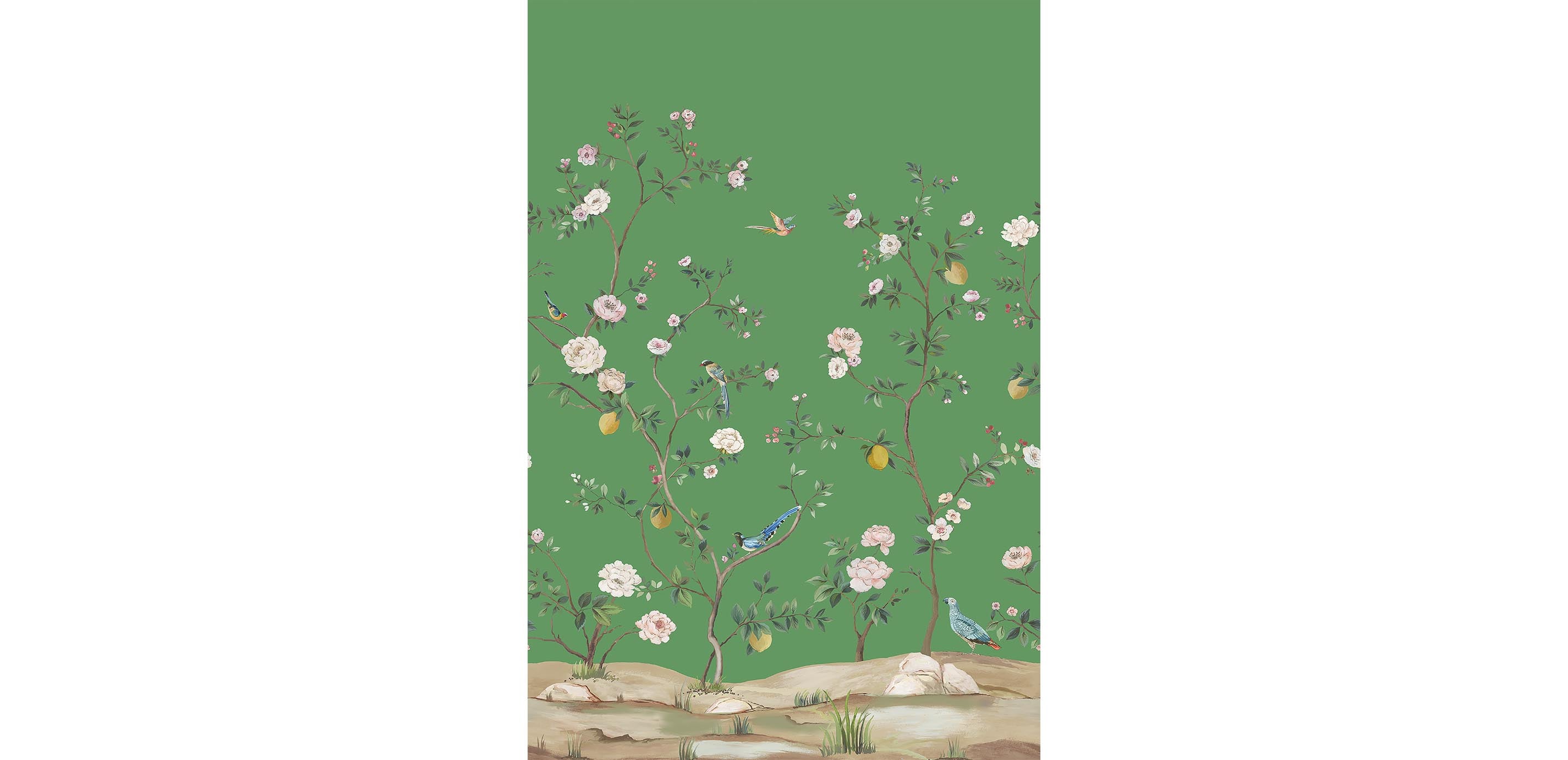 mobile primary image