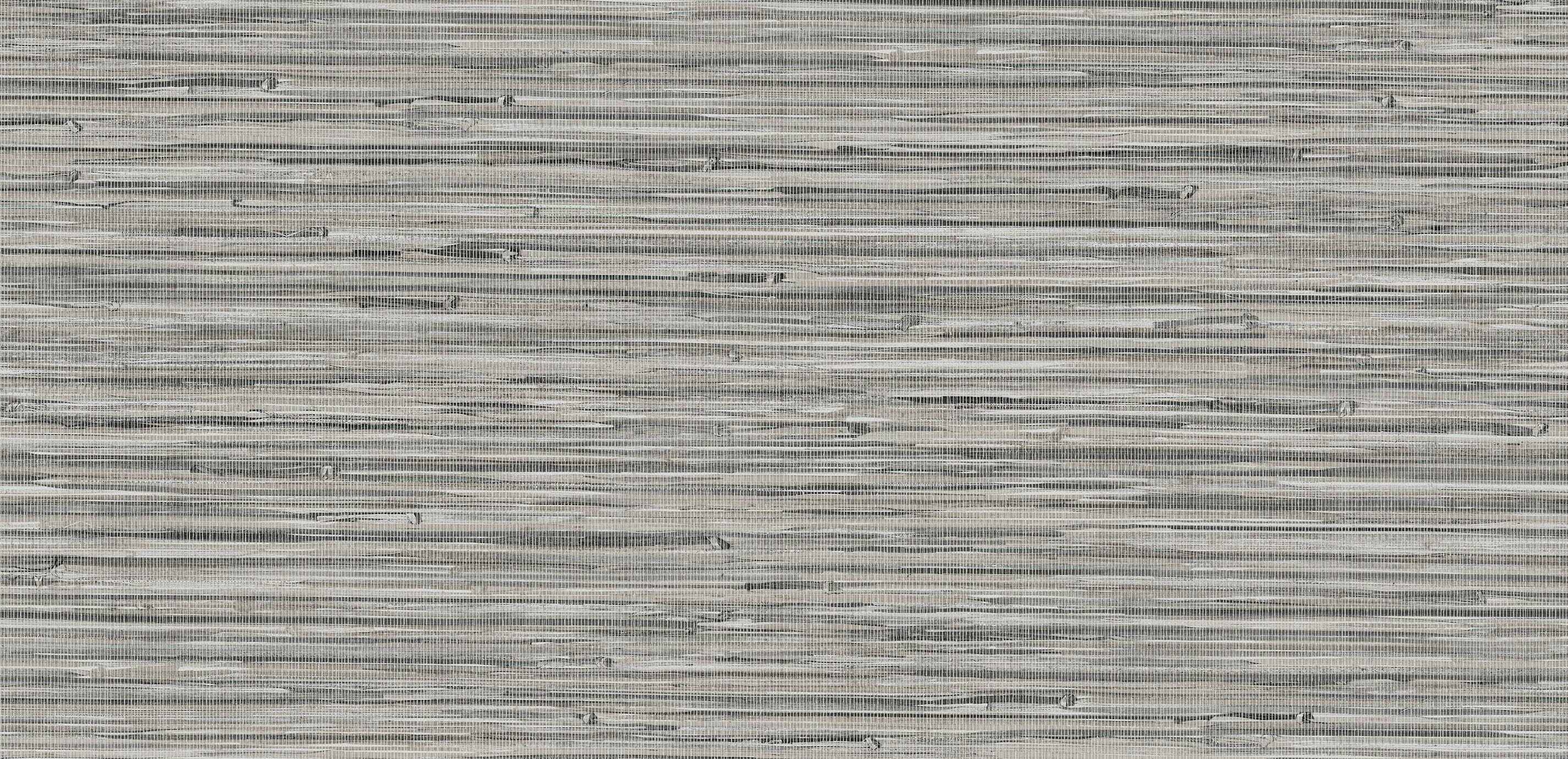 mobile primary image