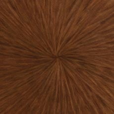 Brown Sugar with Starburst (446) swatch Zayne Buffet