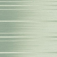 Green swatch Teddy Wallpaper 