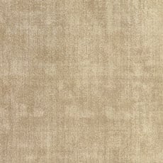 Champagne swatch Demarest Rug