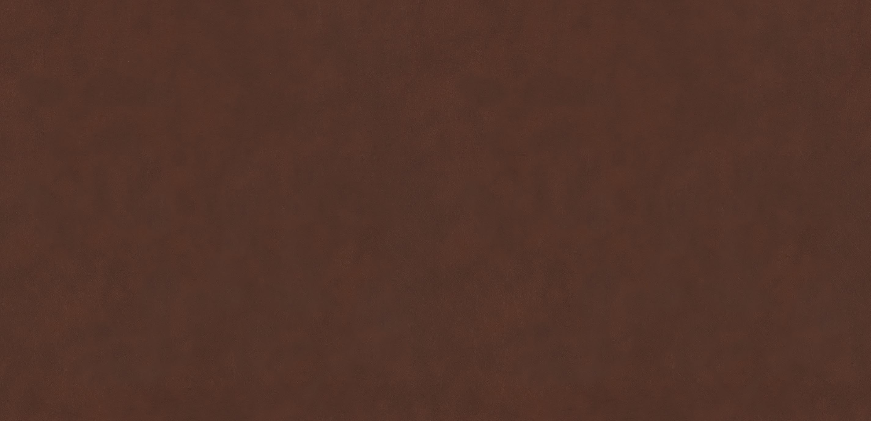 mobile primary image